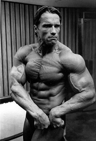 Photo:  Arnold Schwarzenegger 06